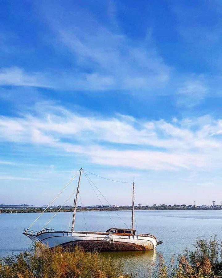Studio 237 Port Camargue, Piscine, 2 personnes Le Grau-du-Roi Esterno foto